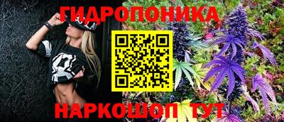 PSILOCYBIN Тверь
