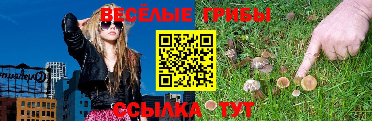 Похвистнево  Псилоцибиновые грибы GOLDEN TEACHER  Вход с VPN 